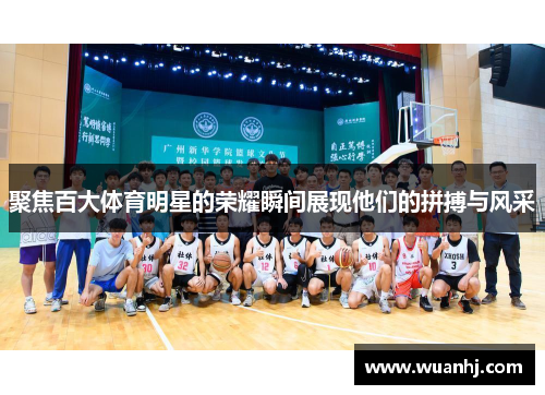 聚焦百大体育明星的荣耀瞬间展现他们的拼搏与风采